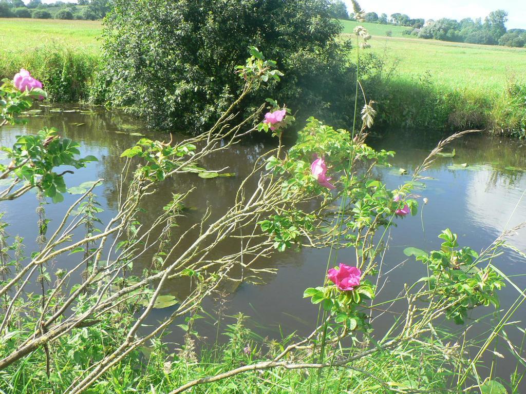 Trevieres Gite De L'Aure المظهر الخارجي الصورة